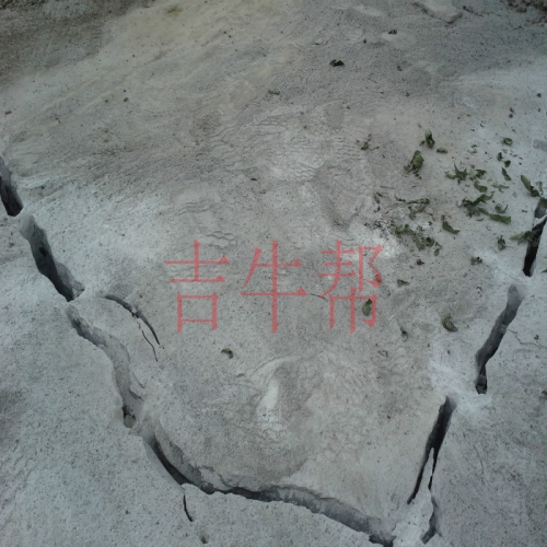 河南某工廠(chǎng)內部基礎設施拆除項目